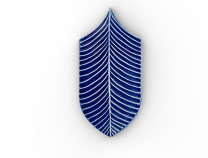 AcquarioDue - Calathea