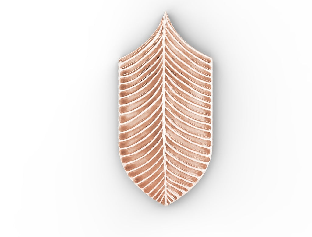AcquarioDue - Calathea