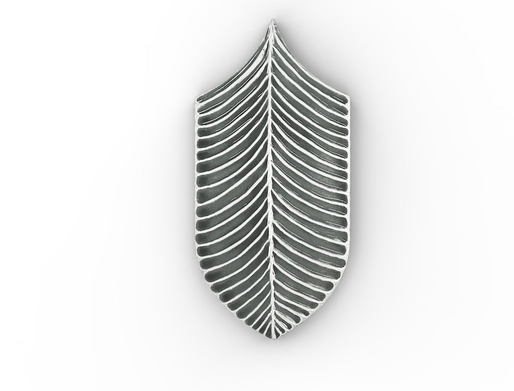 AcquarioDue - Calathea