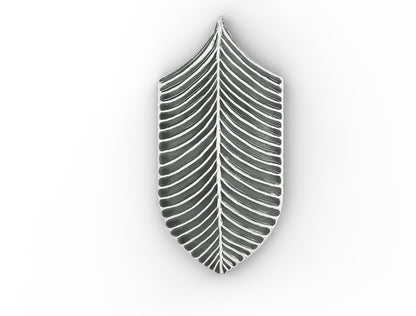 AcquarioDue - Calathea