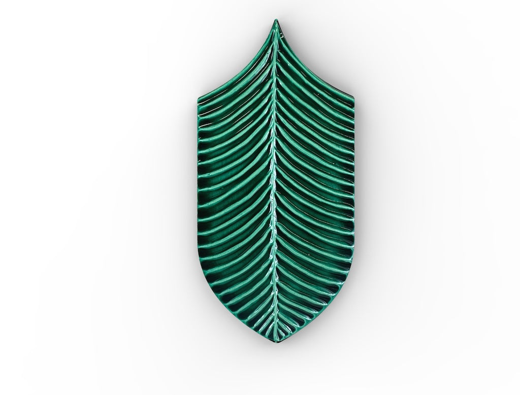 AcquarioDue - Calathea