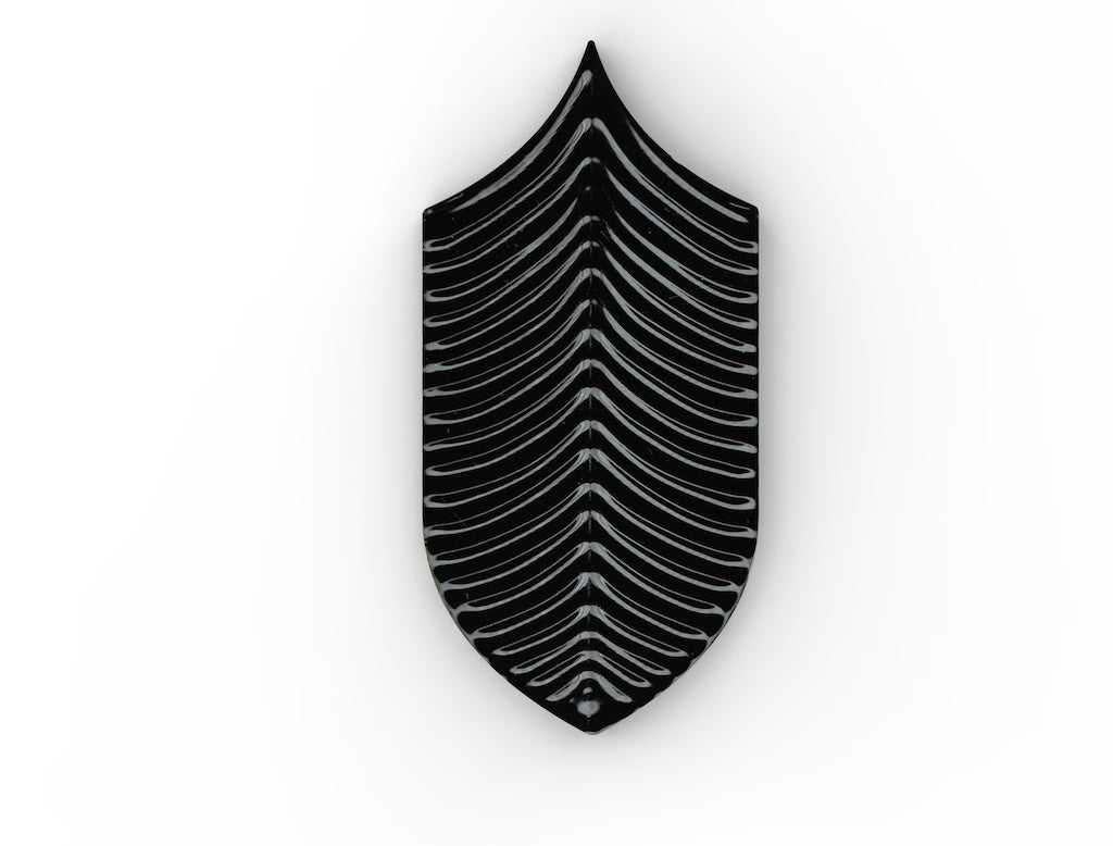 AcquarioDue - Calathea