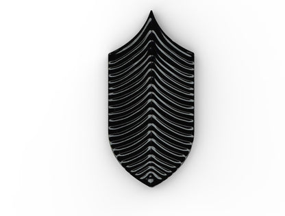 AcquarioDue - Calathea