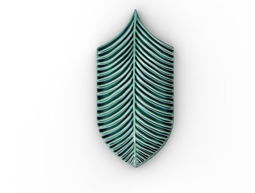 AcquarioDue - Calathea