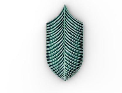 AcquarioDue - Calathea