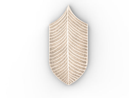 AcquarioDue - Calathea