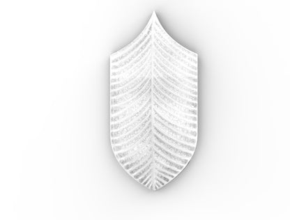 AcquarioDue - Calathea