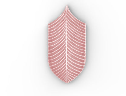 AcquarioDue - Calathea