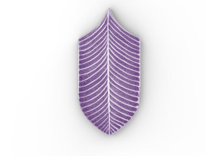 AcquarioDue - Calathea