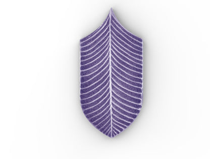 AcquarioDue - Calathea