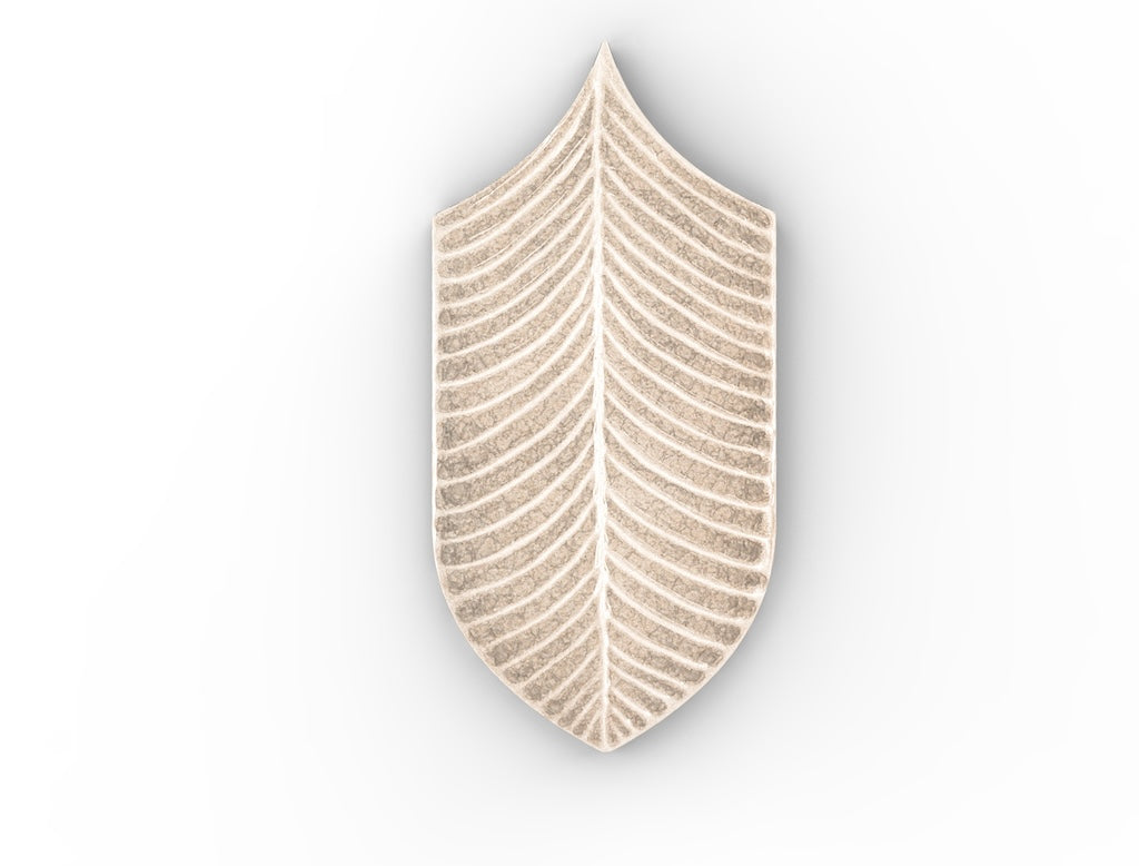 AcquarioDue - Calathea