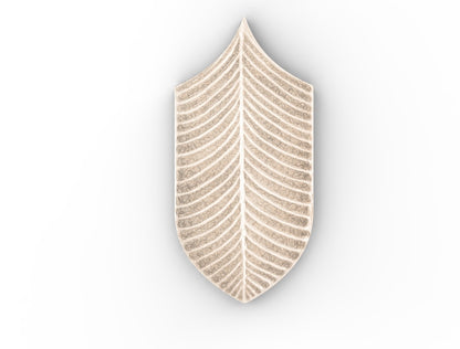 AcquarioDue - Calathea