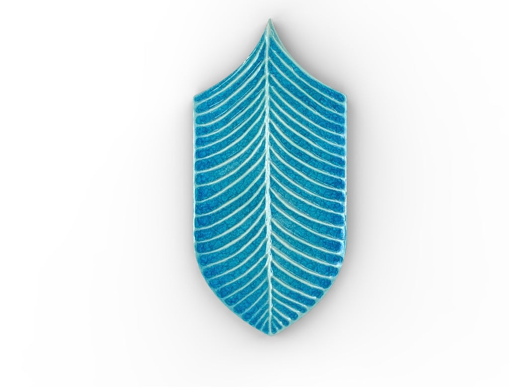 AcquarioDue - Calathea