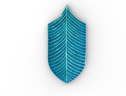 AcquarioDue - Calathea
