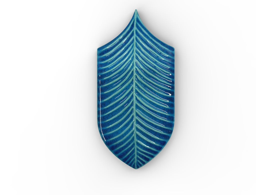 AcquarioDue - Calathea
