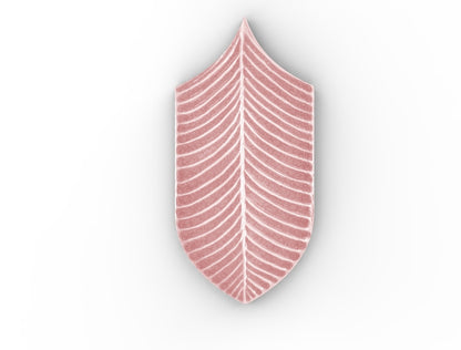 AcquarioDue - Calathea