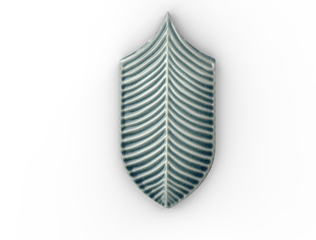 AcquarioDue - Calathea