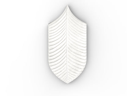 AcquarioDue - Calathea