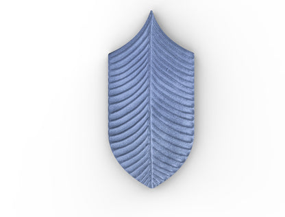AcquarioDue - Calathea