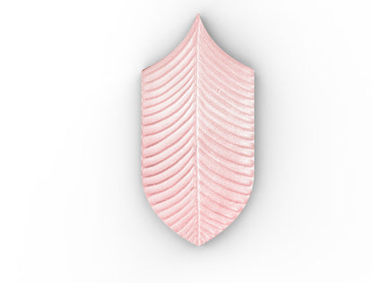 AcquarioDue - Calathea