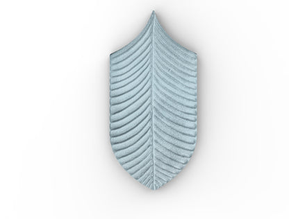 AcquarioDue - Calathea