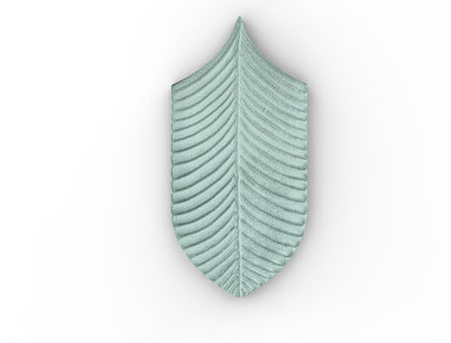 AcquarioDue - Calathea
