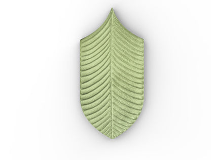 AcquarioDue - Calathea