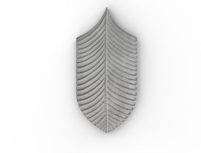 AcquarioDue - Calathea