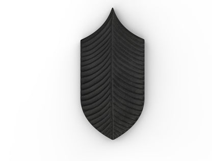 AcquarioDue - Calathea
