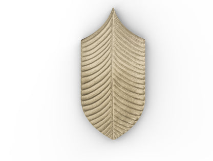 AcquarioDue - Calathea