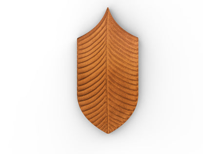 AcquarioDue - Calathea