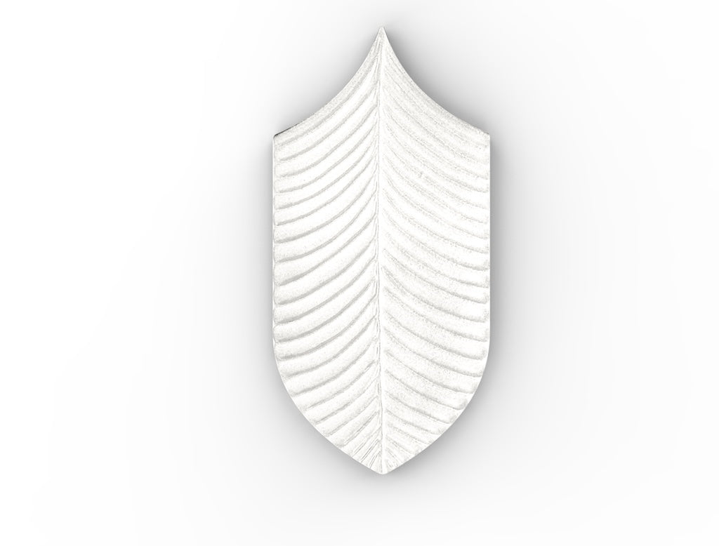 AcquarioDue - Calathea