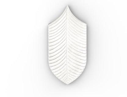 AcquarioDue - Calathea