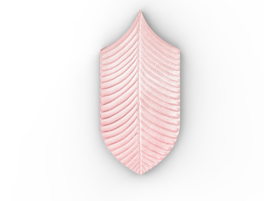 AcquarioDue - Calathea