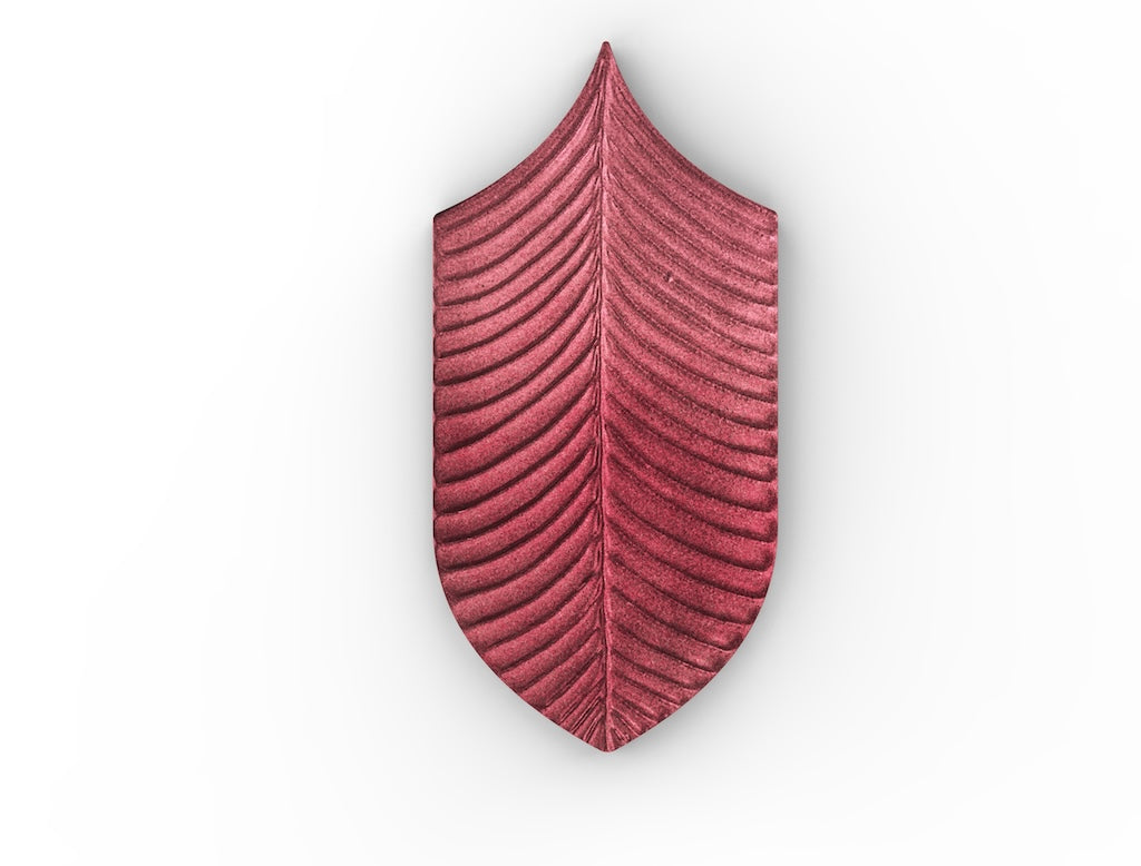 AcquarioDue - Calathea