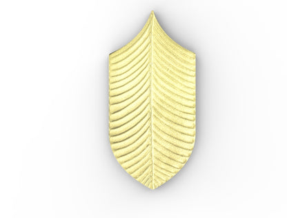 AcquarioDue - Calathea