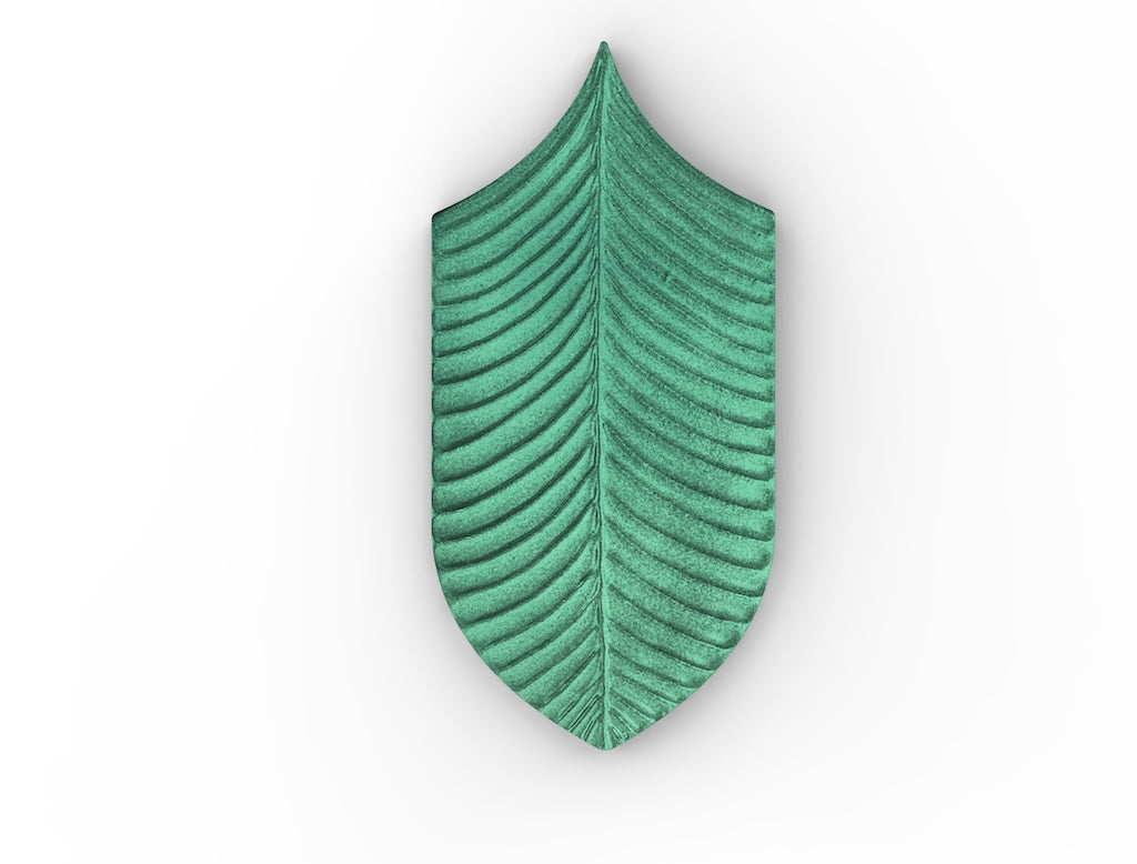 AcquarioDue - Calathea