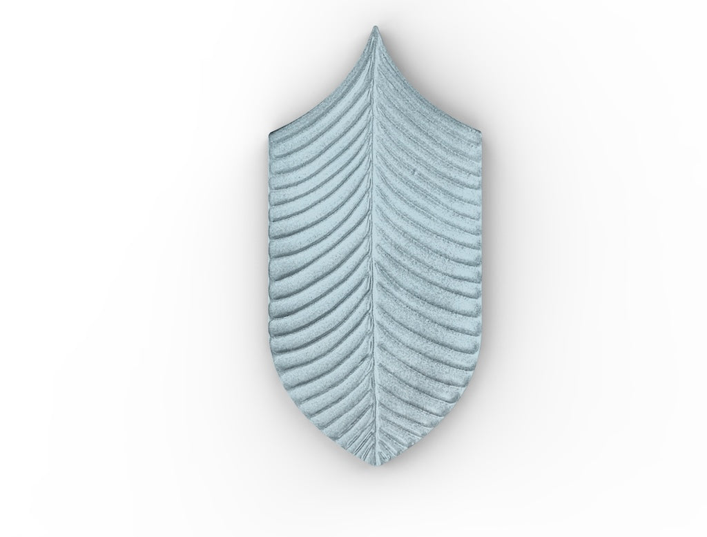 AcquarioDue - Calathea