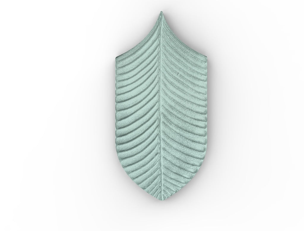 AcquarioDue - Calathea