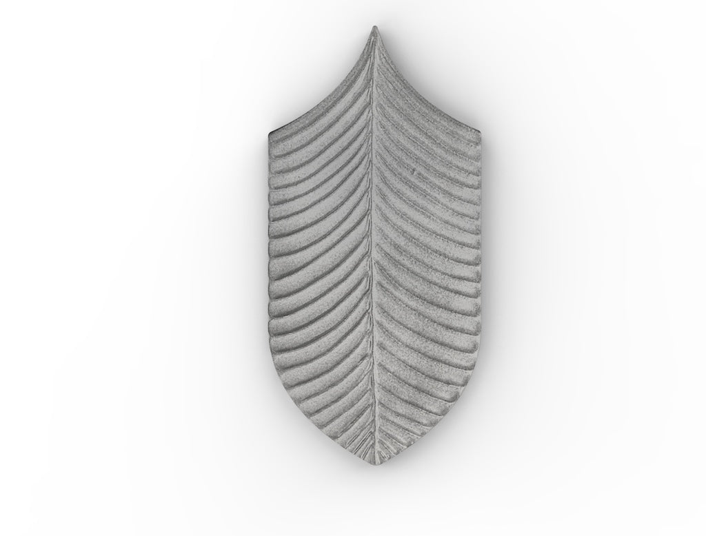 AcquarioDue - Calathea