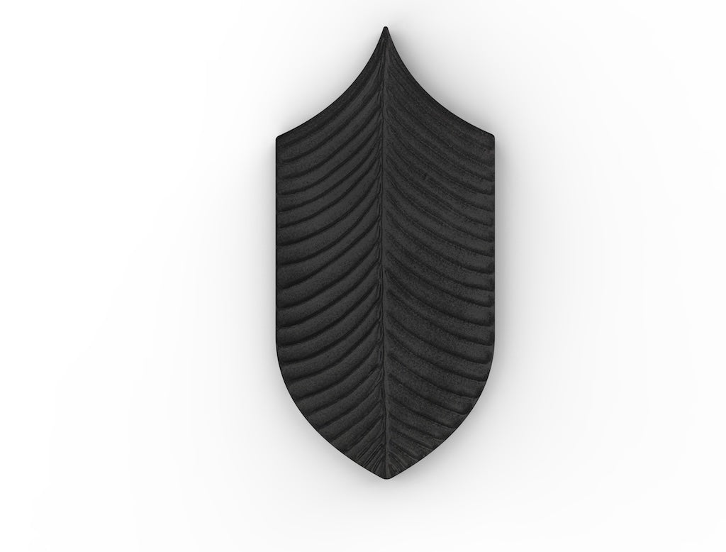 AcquarioDue - Calathea