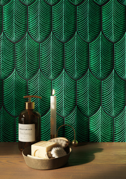 AcquarioDue - Calathea