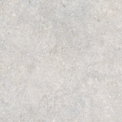 Saloni - Cavallina
