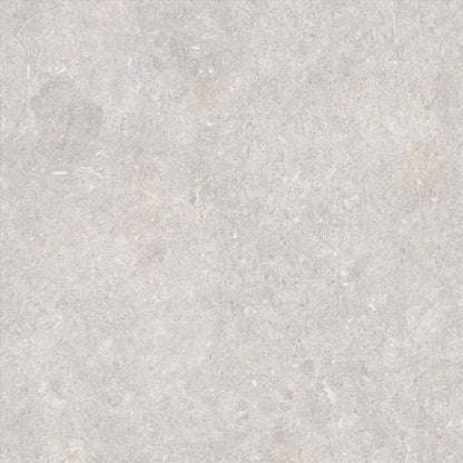 Saloni - Cavallina