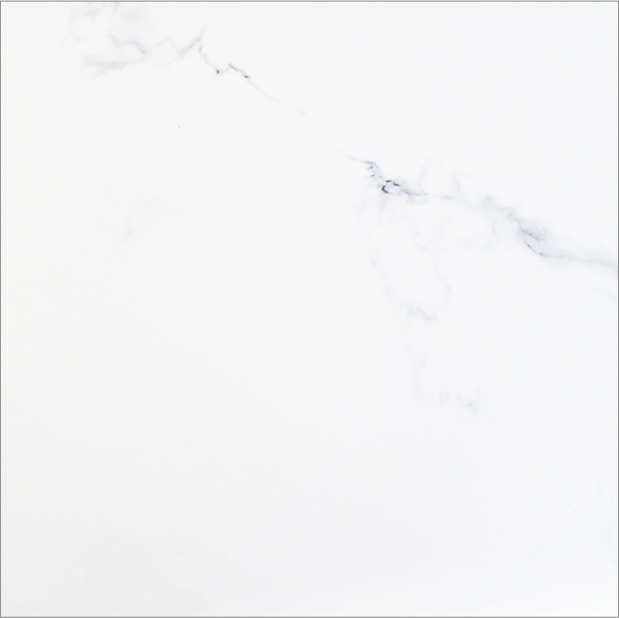 Monopole - Augusta