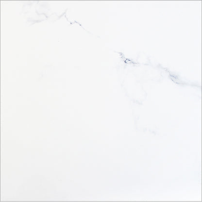 Monopole - Augusta