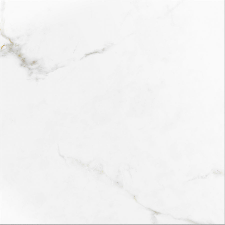 Monopole - Augusta