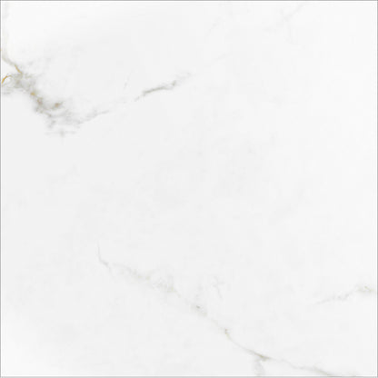 Monopole - Augusta
