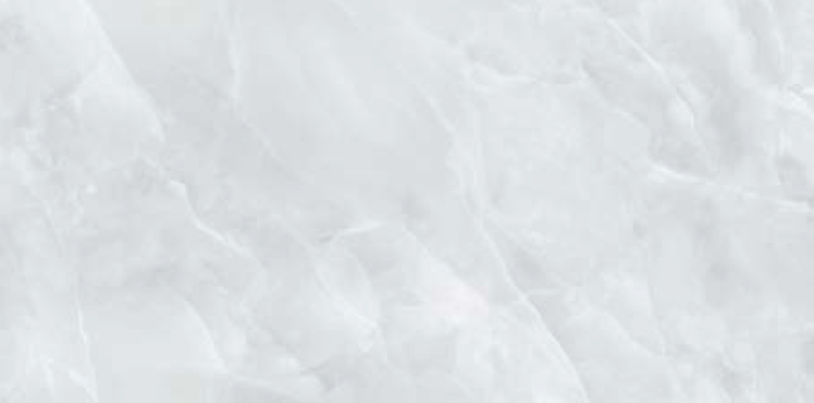 Monopole - Onix
