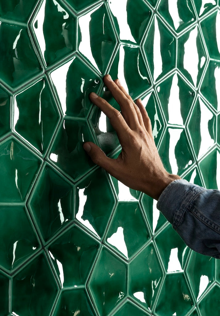 AcquarioDue - Papillion